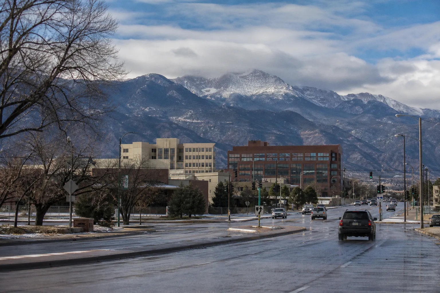 What does a Colorado Springs search engine optimizer do?